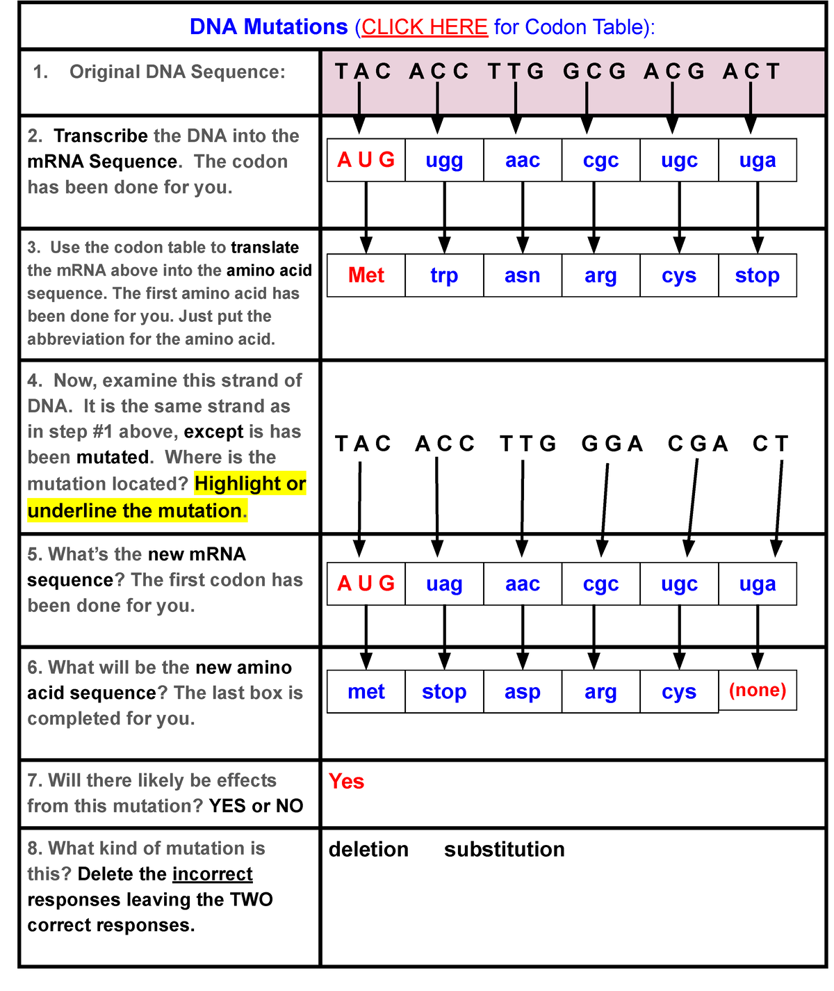 Brianna Chapman - DNA Mutations Completion (updated) - DNA Mutations ...