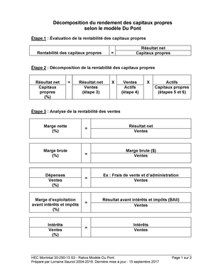 Ratios Modele Dupont Resume Gestion Financiere I Hec