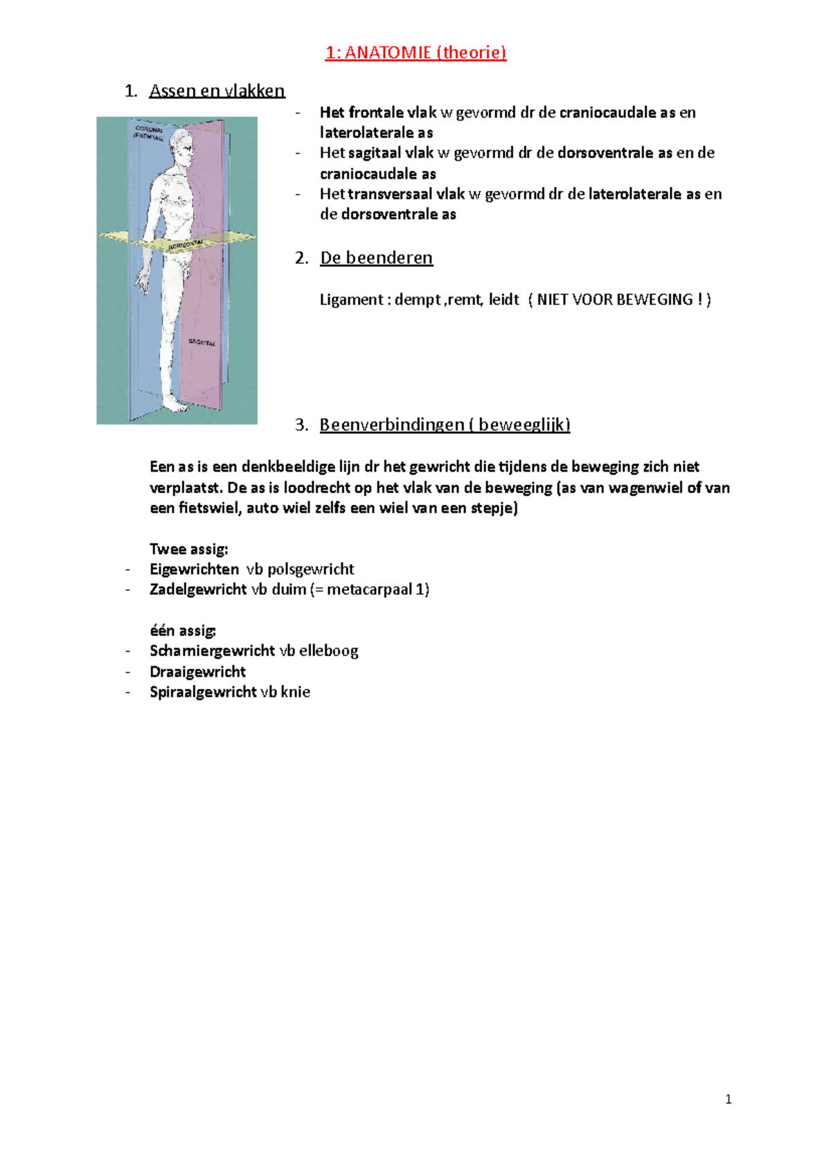 Anatomie Samenvatting Anatomie 1 ANATOMIE Theorie 1 Assen En Vlakken Het Frontale Vlak