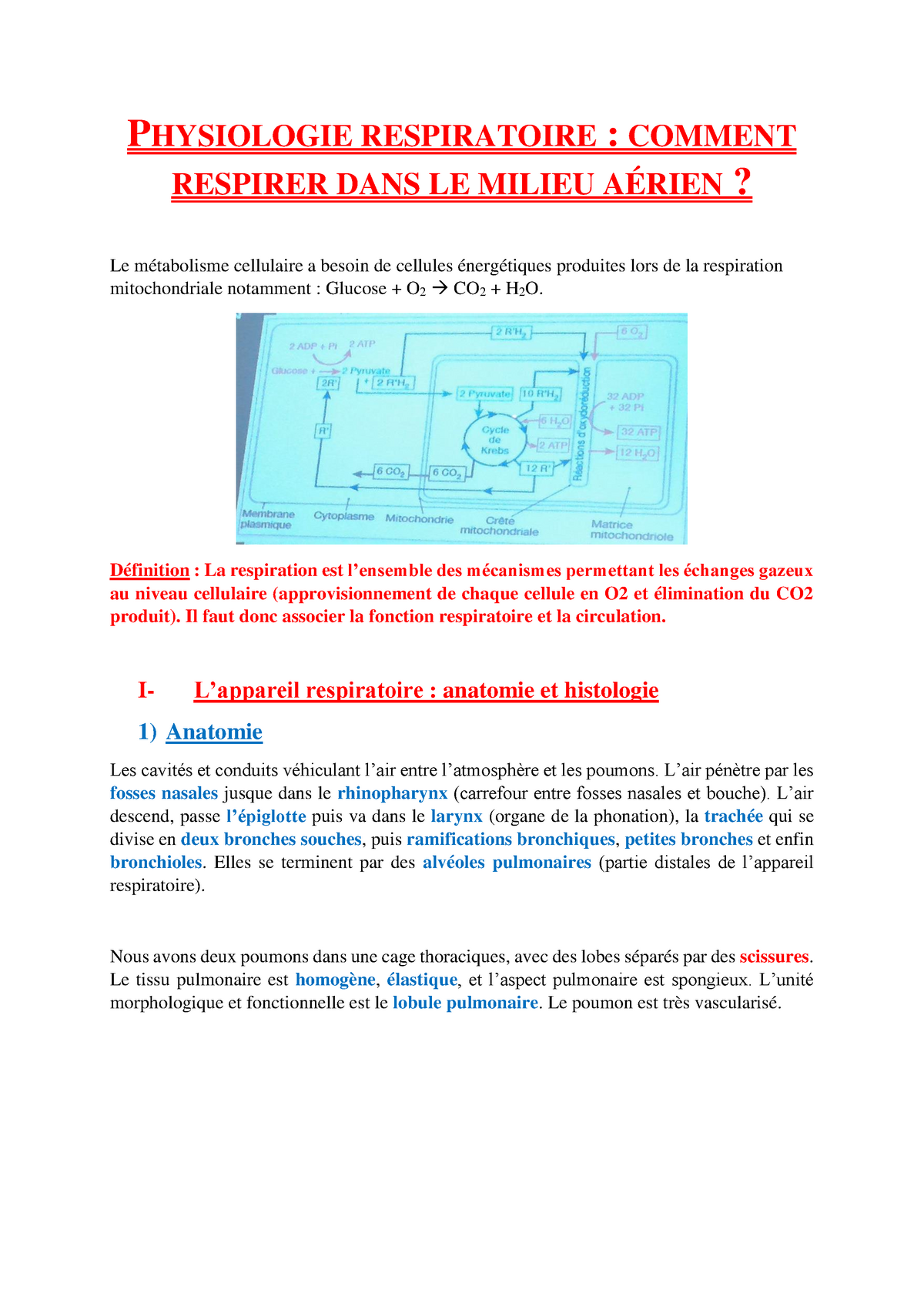 Physiologie Respiratoire - PHYSIOLOGIE RESPIRATOIRE : COMMENT RESPIRER ...