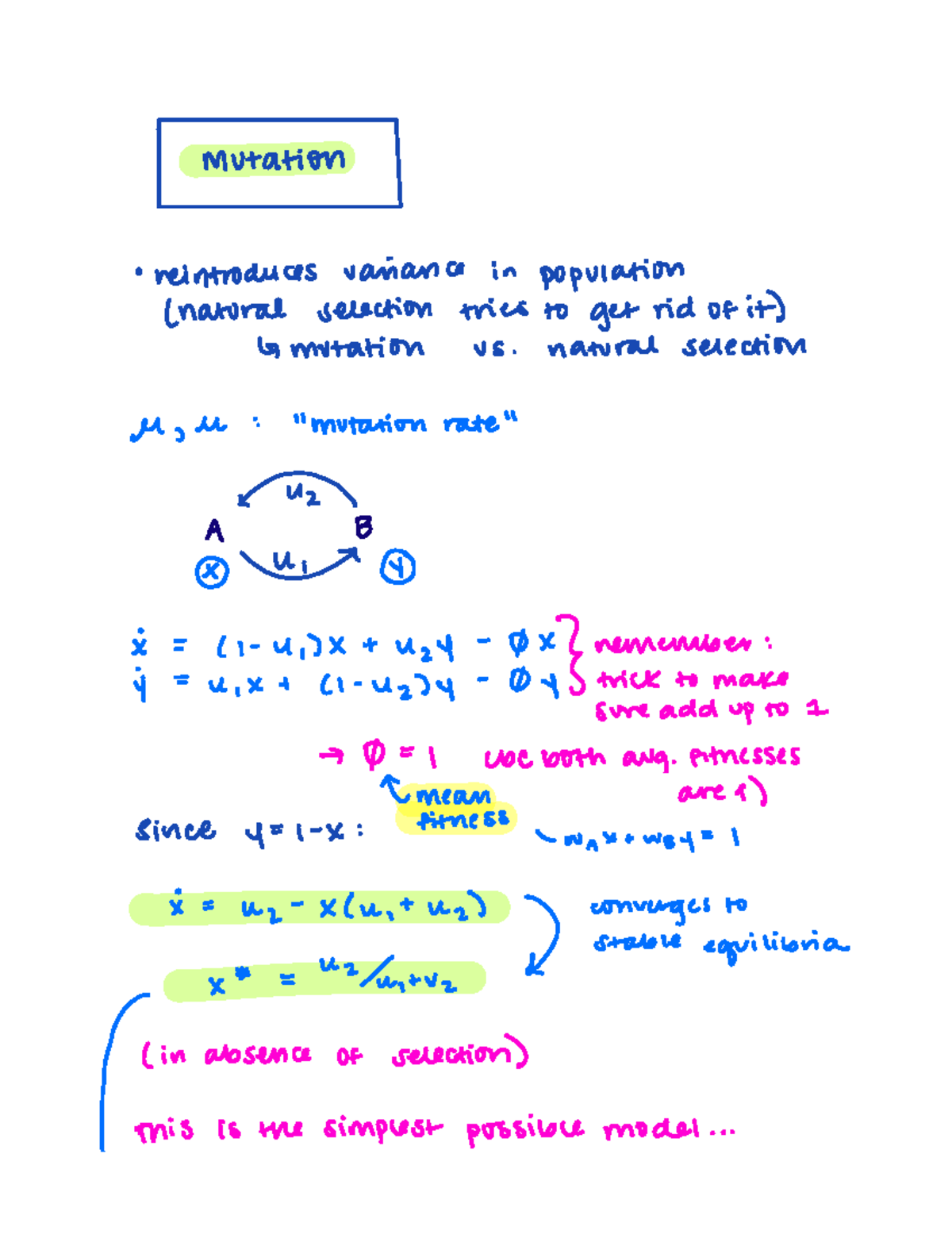 Mutation - day 1 - mutation reintroduces variance in population natural ...