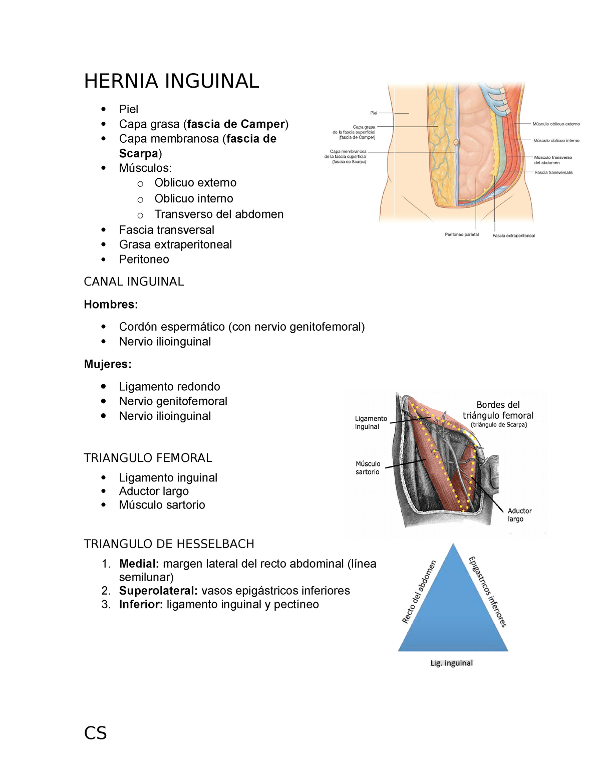 Hernia Inguinal - APUNTES CIRUGIA - HERNIA INGUINAL Piel Capa Grasa ...