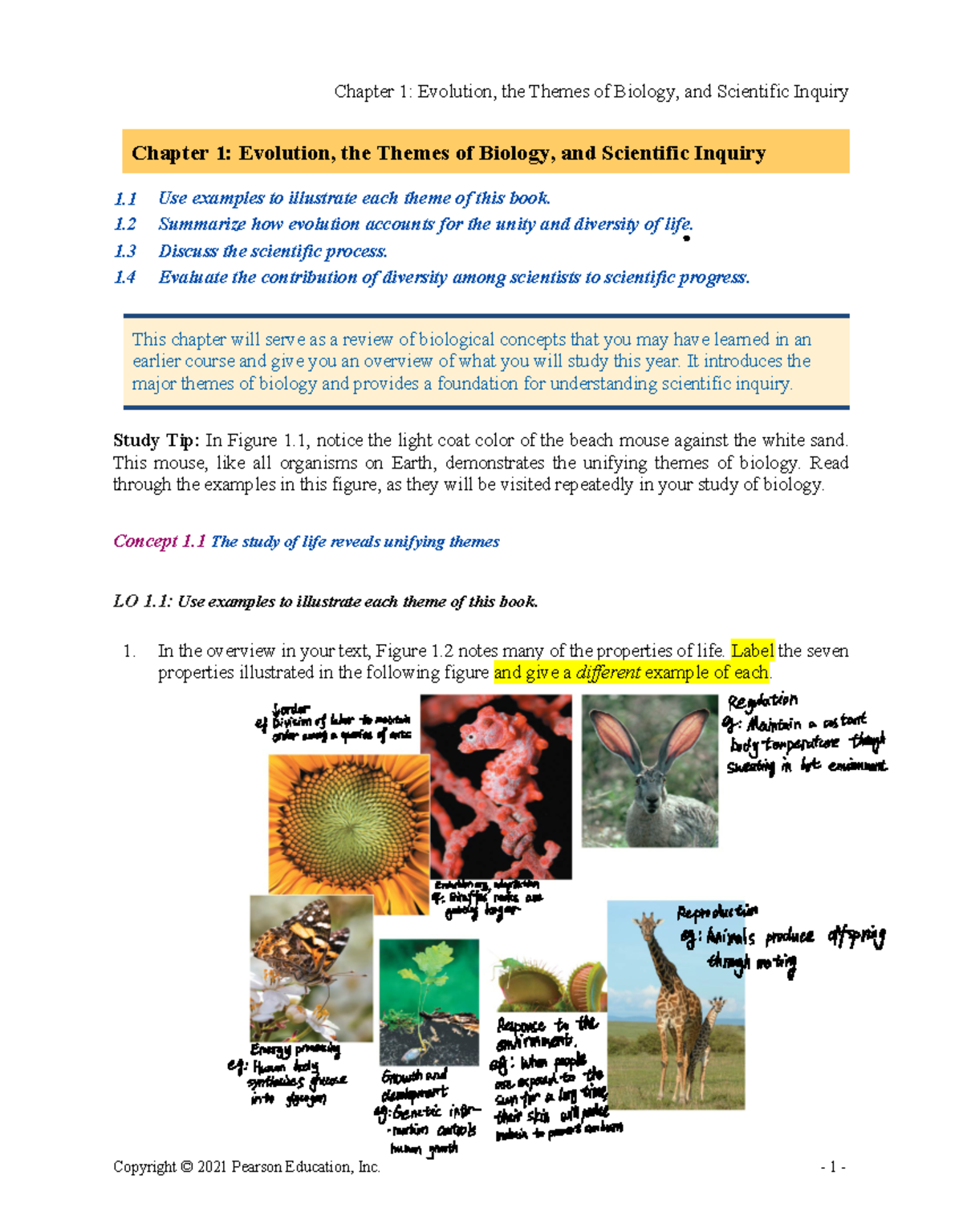 Annotated C1 Reading Guide%20assignment N - Copyright © 2021 Pearson 