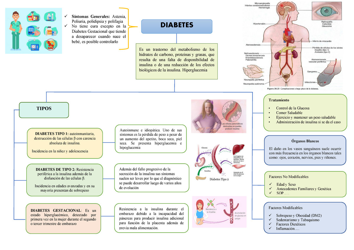 Diabetes mapa mental - Apuntes 1 - DIABETES Es un trastorno del metabolismo  de los hidratos de - Studocu