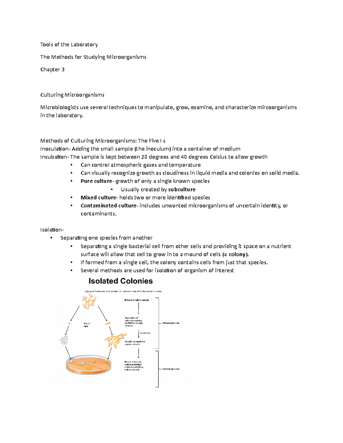 Tools of the Lab Microbiology Chpt 3 - Tools of the Laboratory The ...