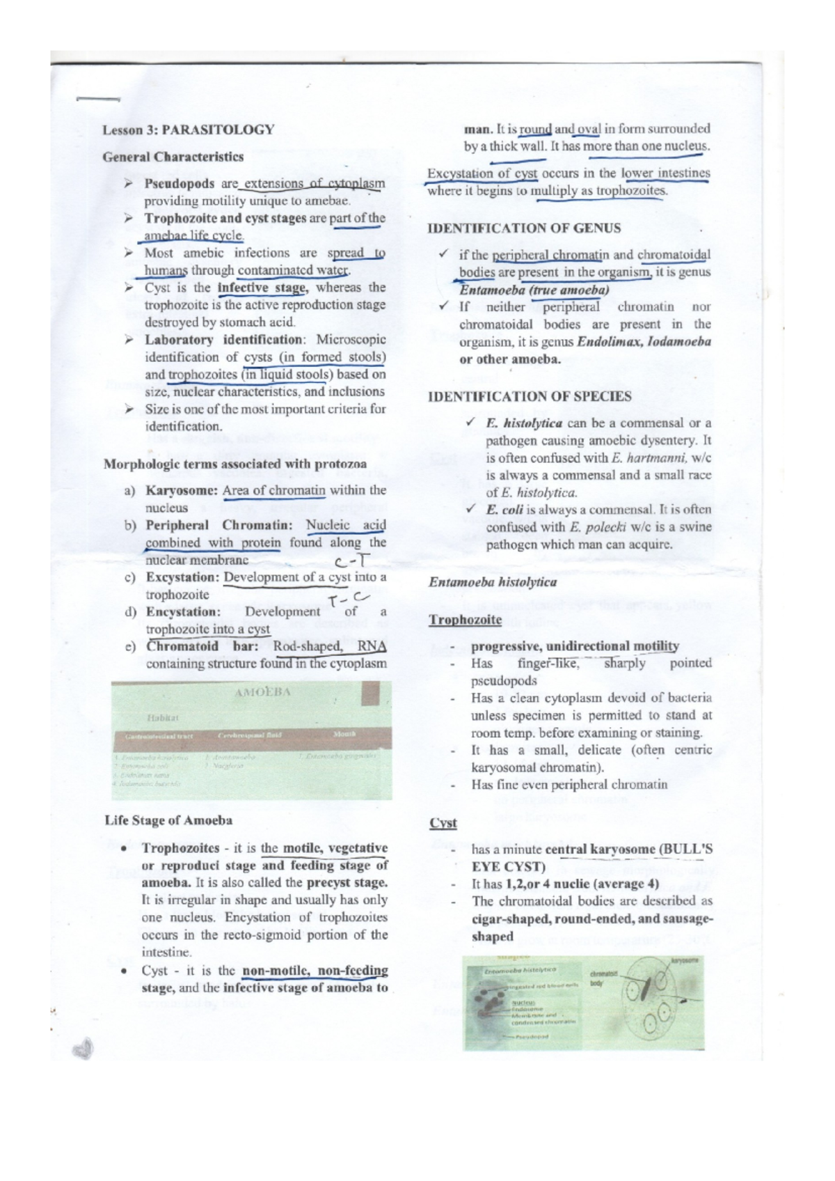Lesson 3 - PArasitology - Medical Technology - Studocu