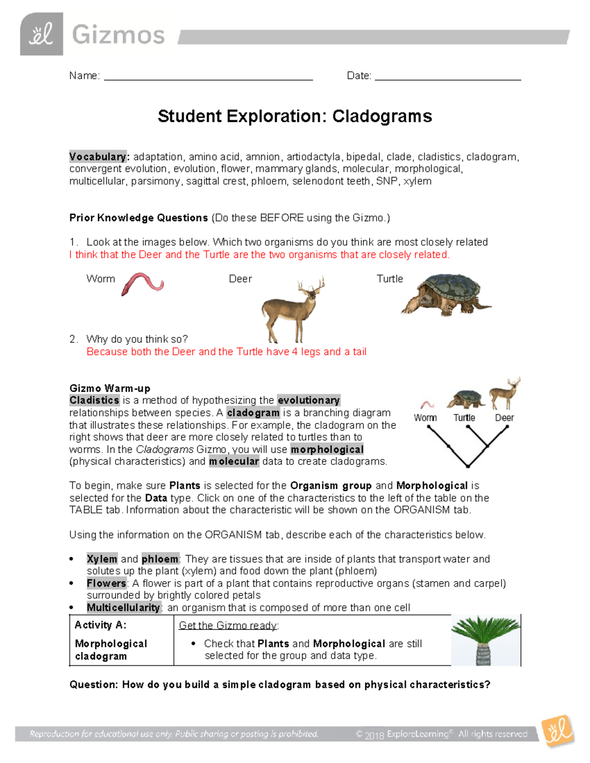 Cladograms SE Name Date Student Exploration Cladograms Vocabulary