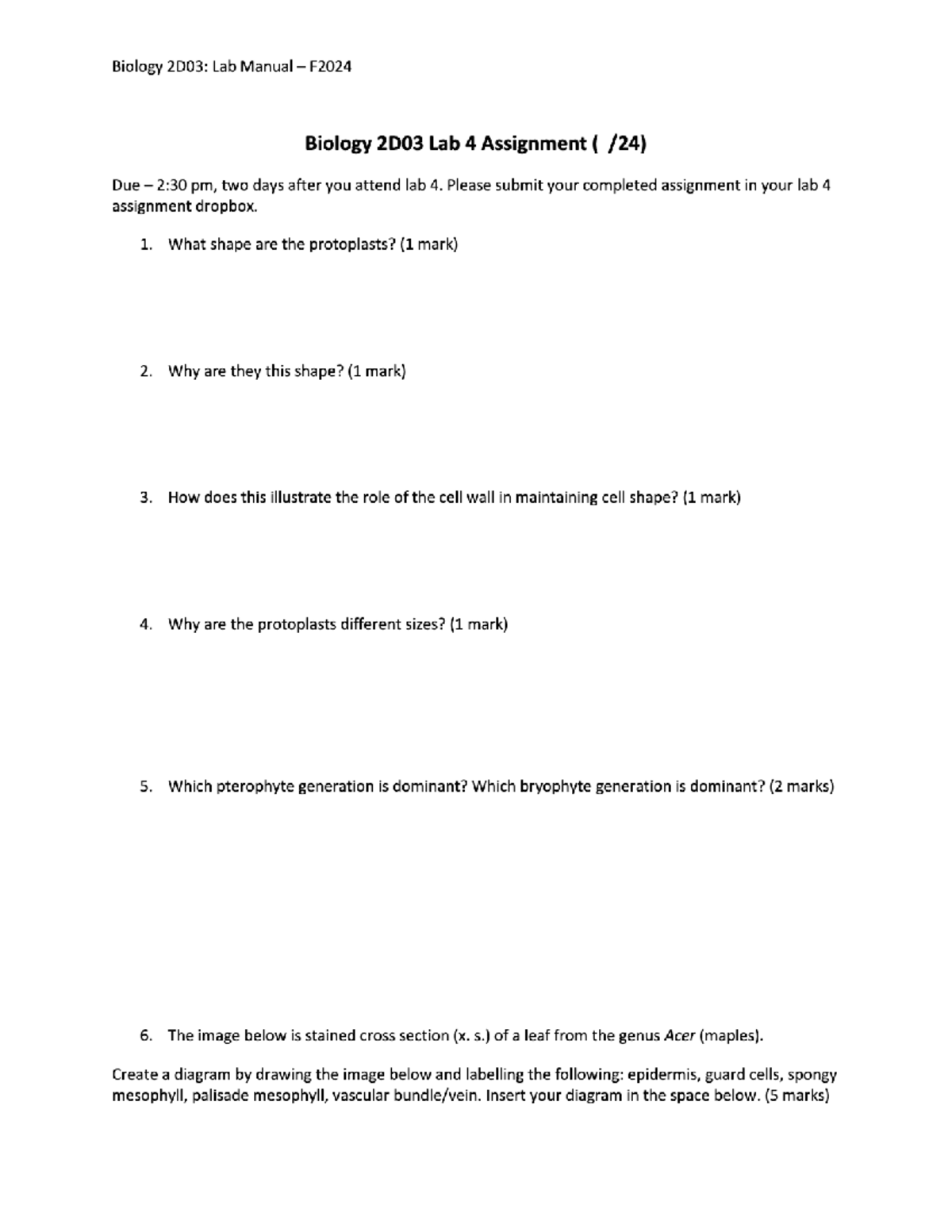 Biology Lab 4 - Plant Biodiversity Lab 4 F2024 - Biology 2D03: Lab ...