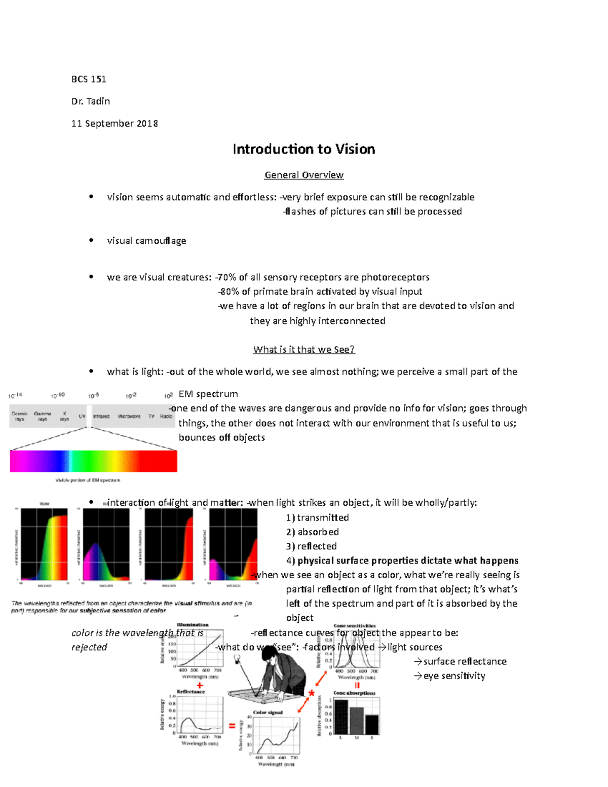 Introduction To Vision - BCS 151 Dr. Tadin 11 September 2018 ...