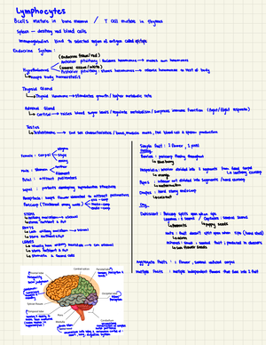 Bio 163 Final Study guide - Sharks and Osmoconformation (ion regulators ...