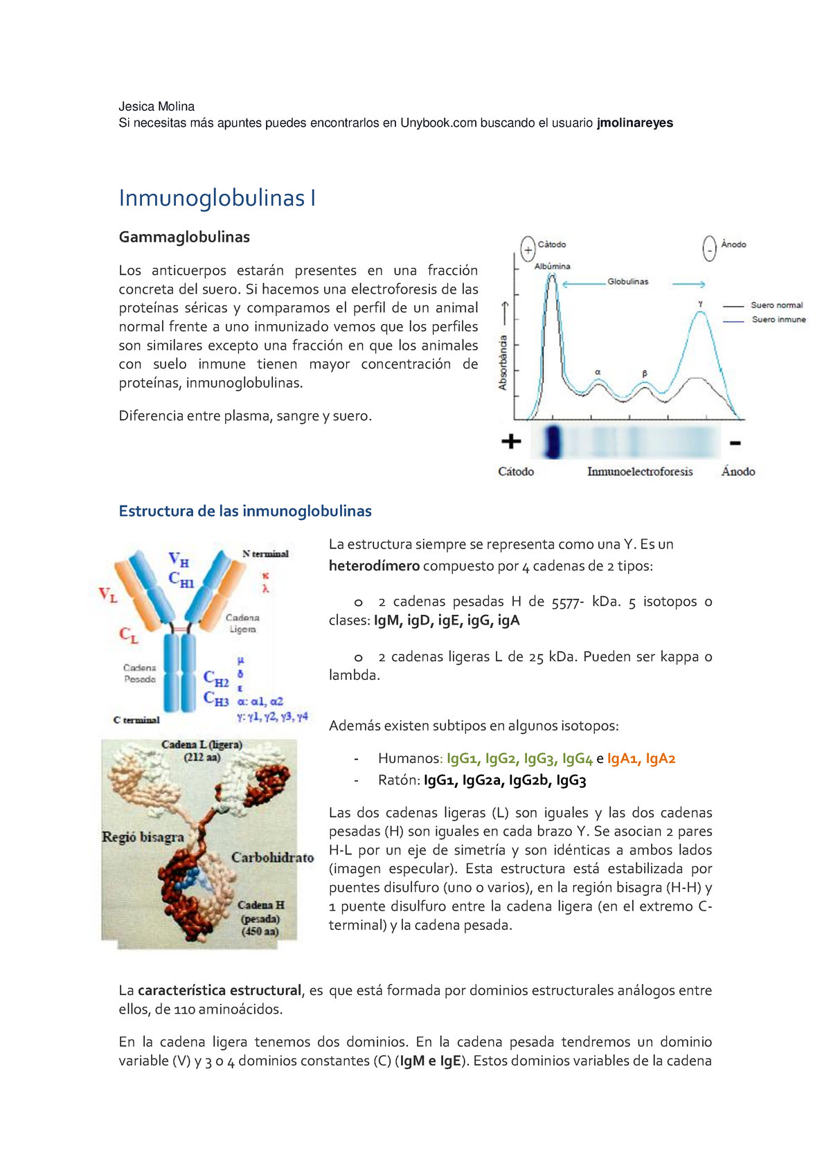 Inmunoglobulinas - Jesica Molina Si Necesitas Más Apuntes Puedes ...