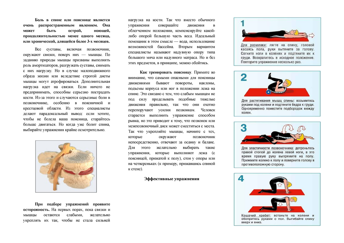Профилактика болей в спине - Боль в спине или пояснице является очень  распространенным явлением. Она - Studocu