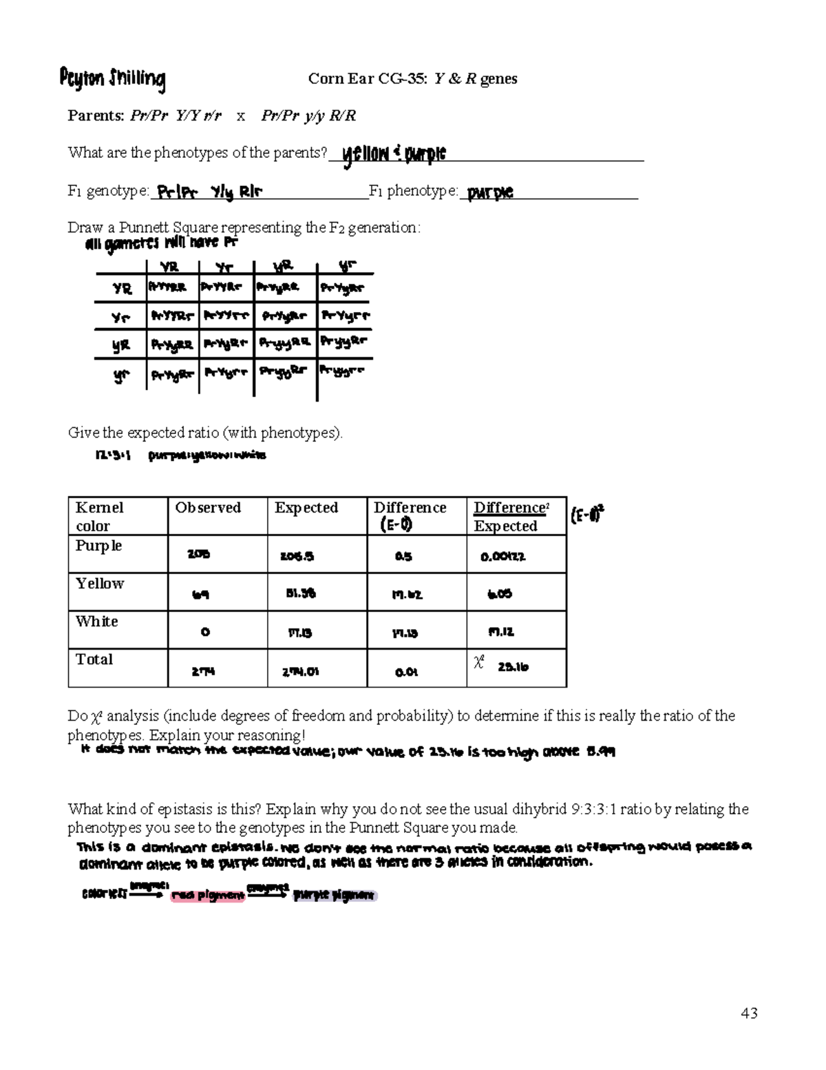 Genetics+LAB+ Manual+2024 (2) Copy - 43 Corn Ear CG-35: Y & R genes ...
