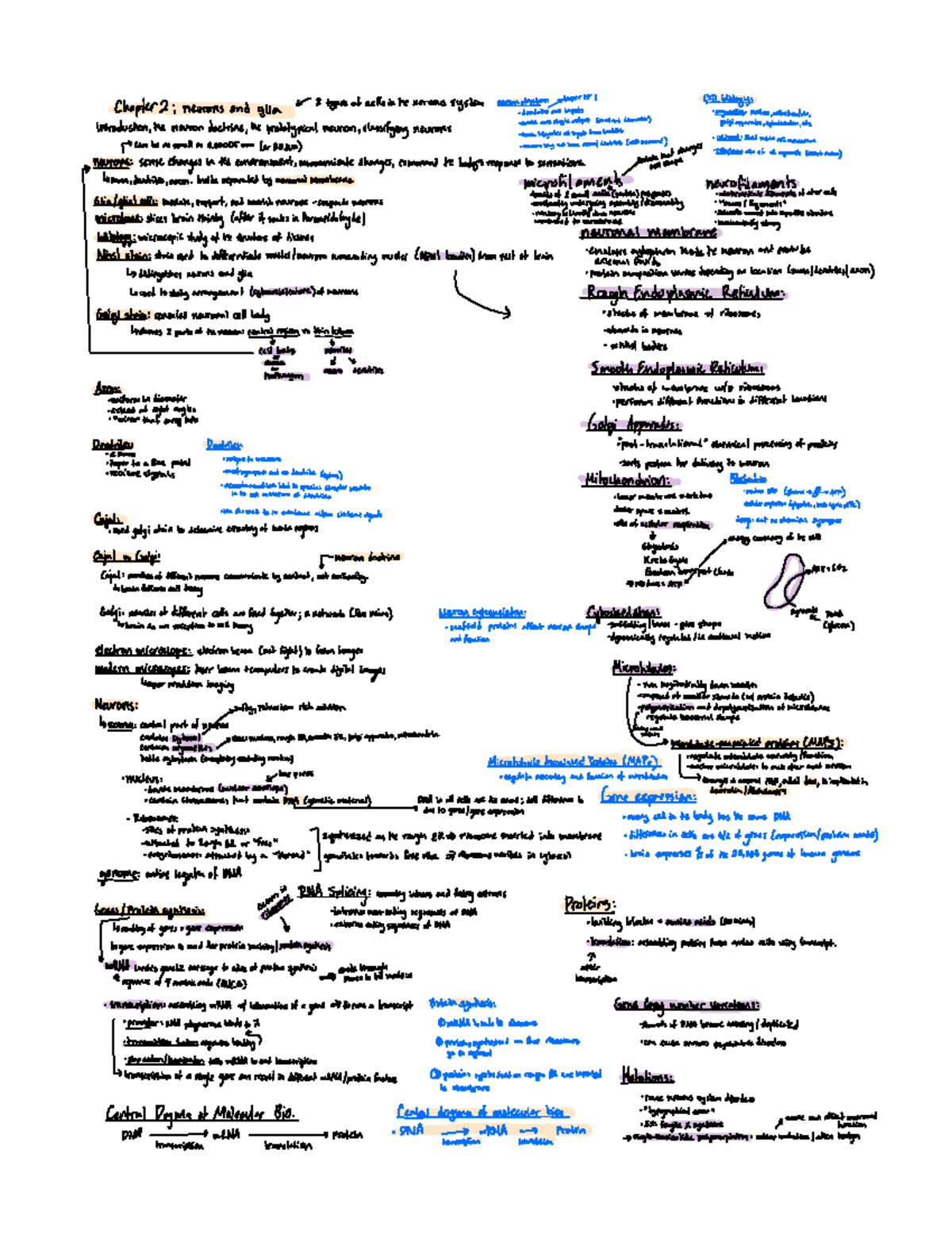 Chapter 2 Neuro Notes Chapters Neuronsand Glia 2typesoleellsinte Chapter 2 Neuro Notes Chapters Neuronsand Glia 2typesoleellsinte
