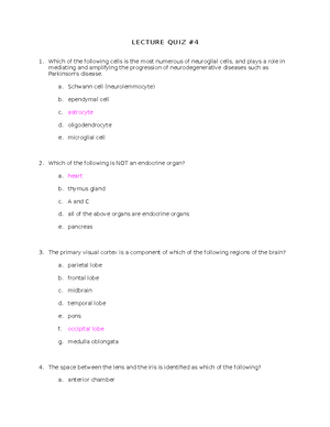 Patient Assessment Mnemonics-2-8 - Patient Assessment Mnemonics Scene ...