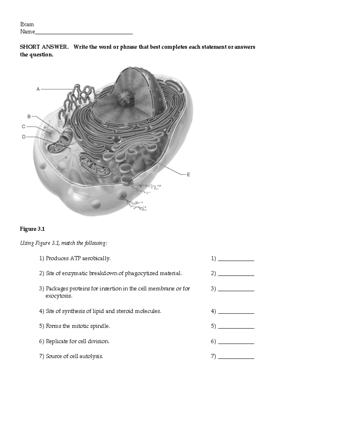 Ch 03 - capter 3 test bank - Exam Name ...