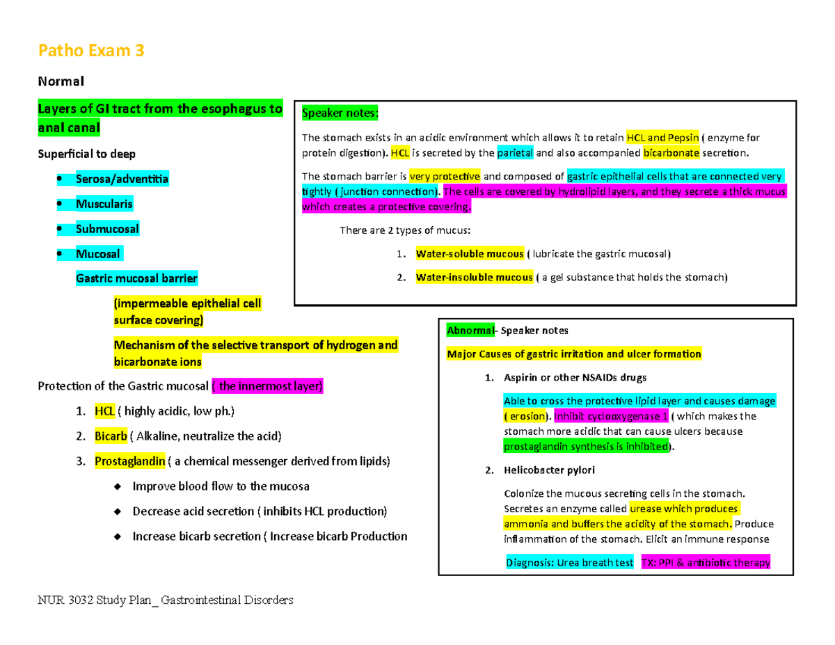 Patho exam 3 study plan best - Patho Exam 3 Normal Layers of GI tract ...