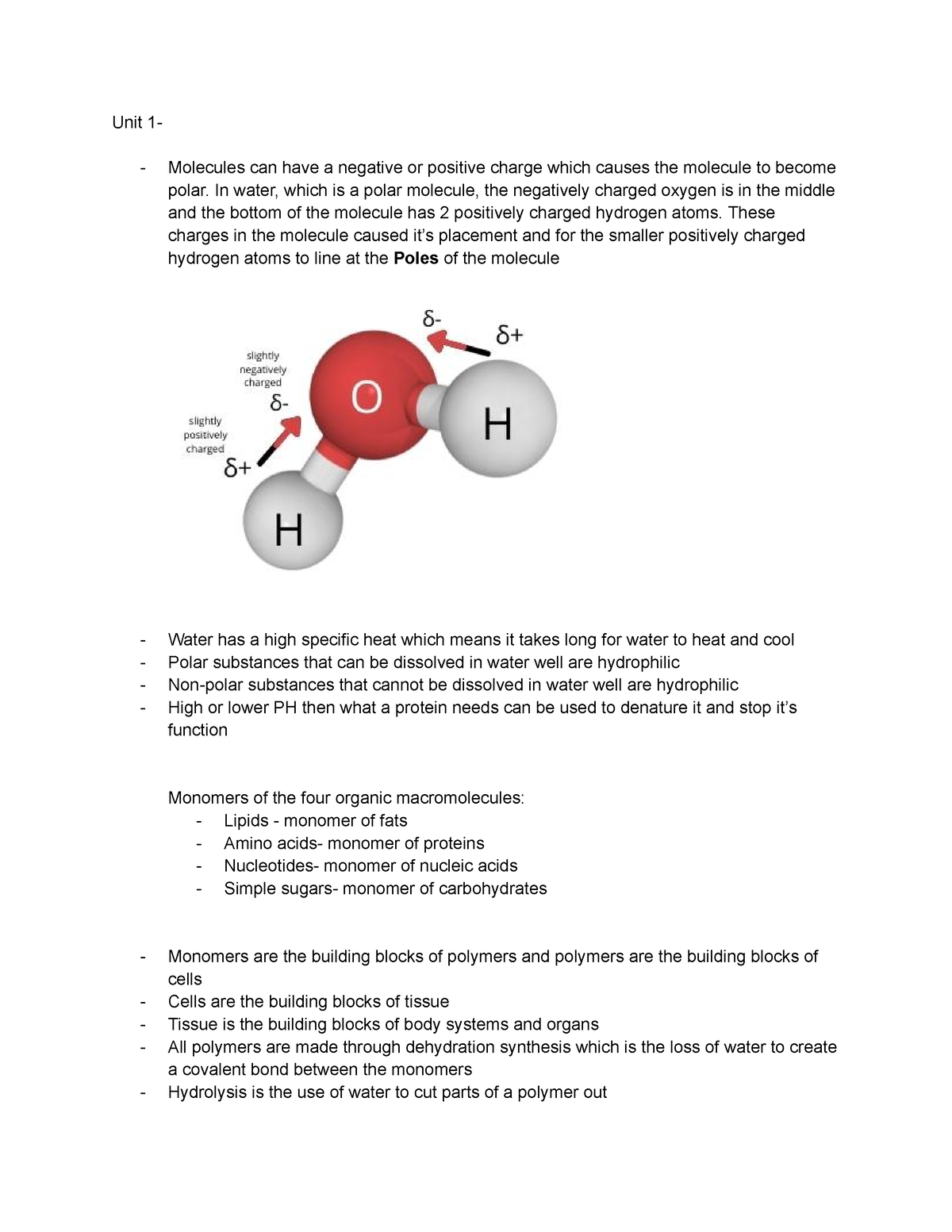 Living Environment Regents Review Sheet 1 Definitions and Review