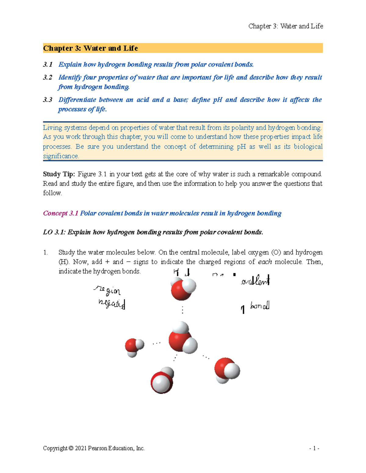 Bio12 ARG 03 - Campbell Biology - Chapter 3: Water And Life 3 Explain ...