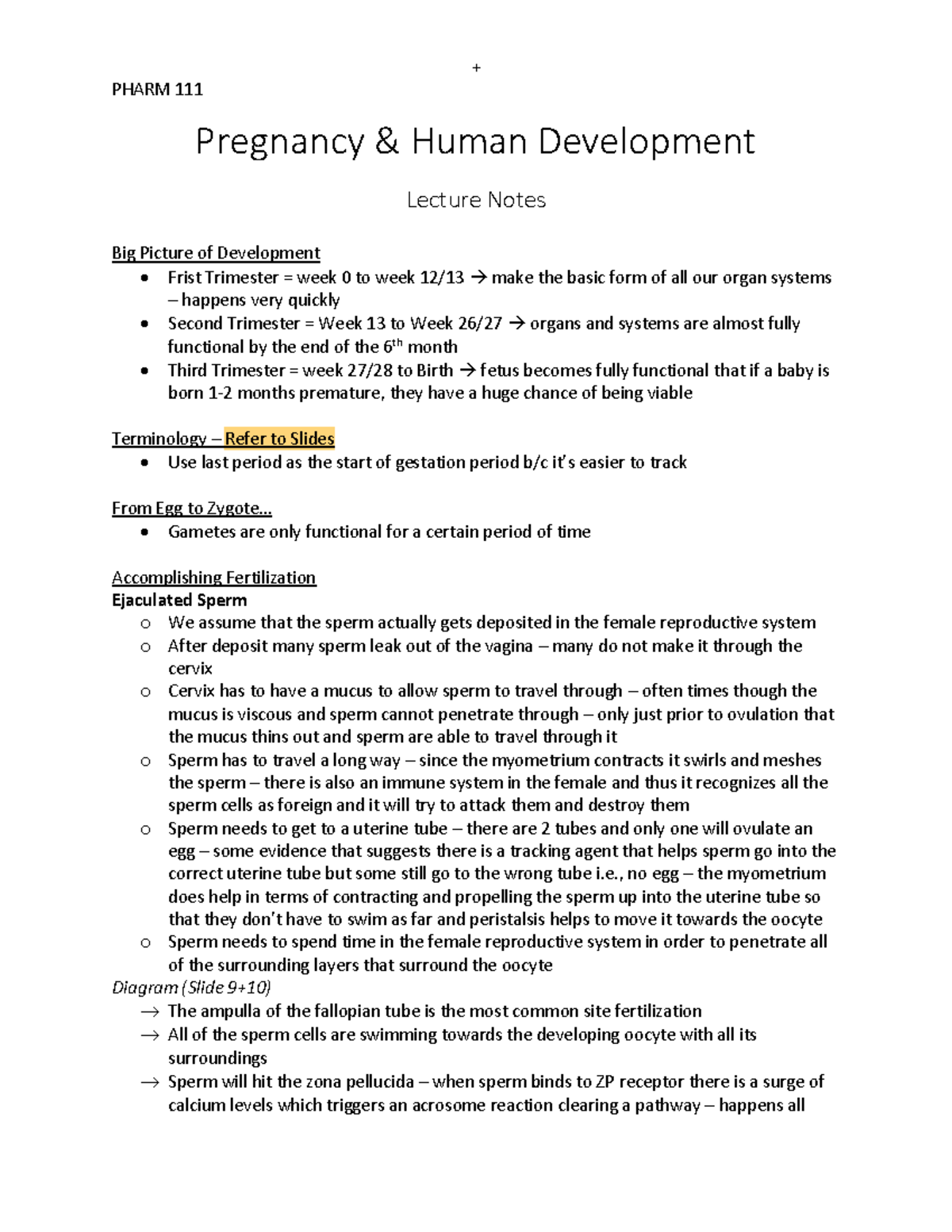 Pregnancy Lecture Notes - PHARM 111 Pregnancy & Human Development ...