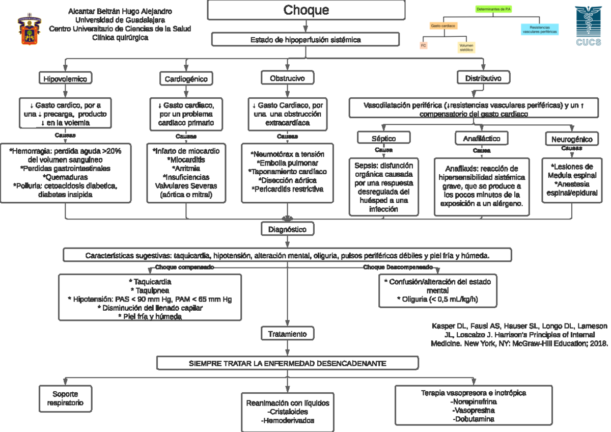 Choque Choque Estado de hipoperfusión sistémica Hipovolemico