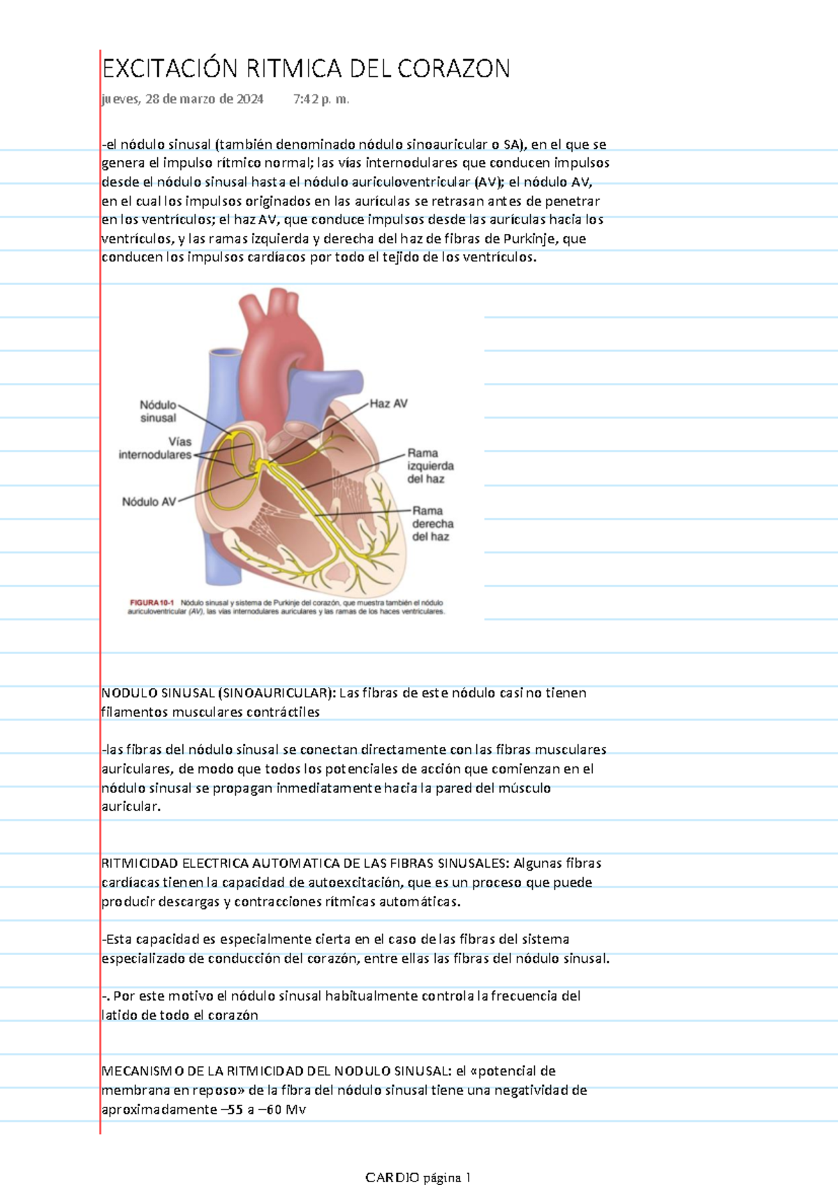 Excitación Ritmica DEL Corazon - el nódulo sinusal (también denominado ...
