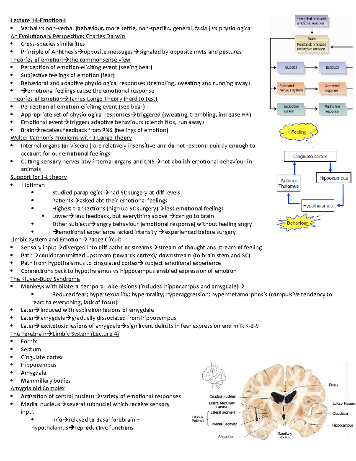 L14 - Lecture notes 14 - Lecture 14-Emotion-I Verbal vs non-verbal ...