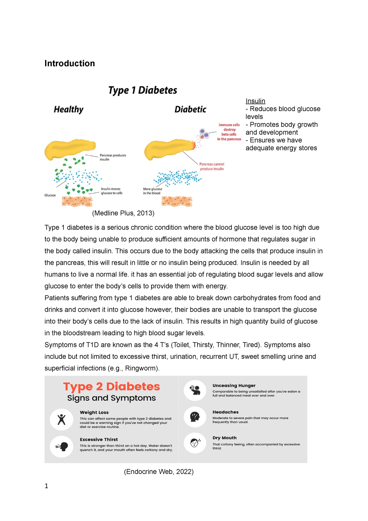 essay about type 1 diabetes