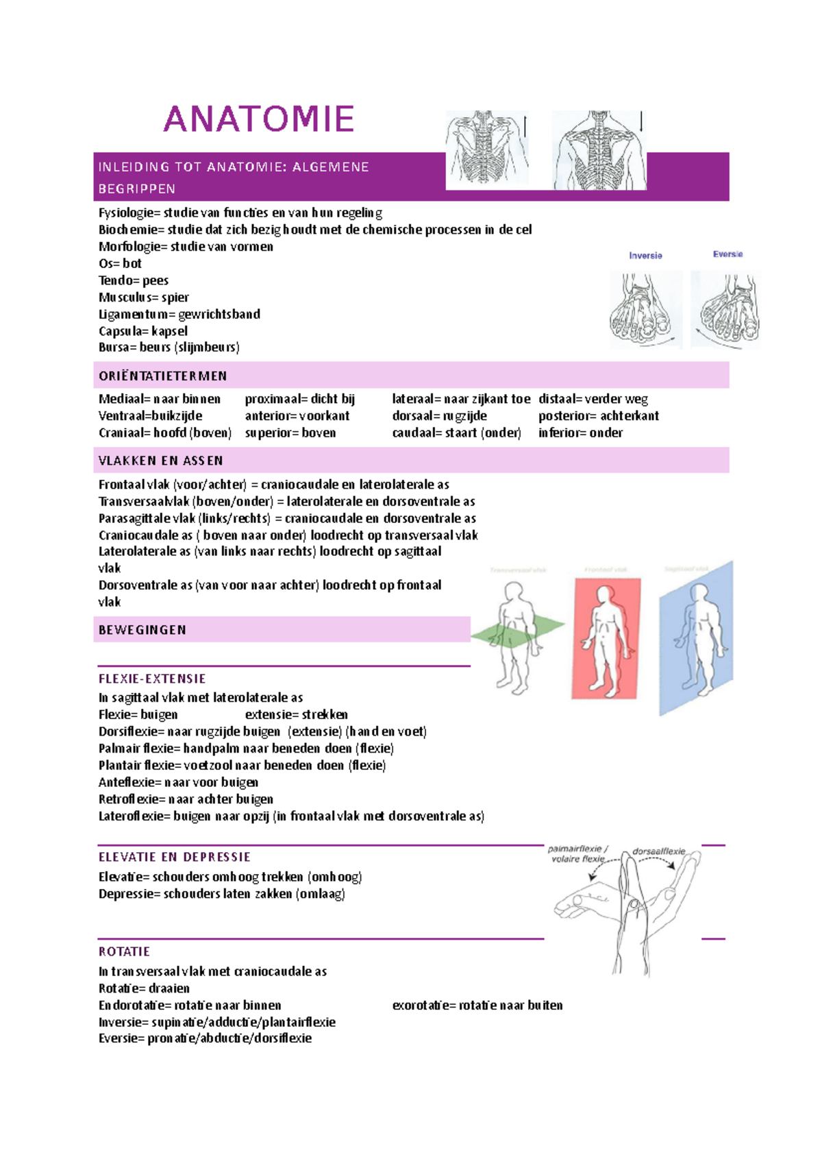 Anatomie - ANATOMIE INLEIDING TOT ANATOMIE: ALGEMENE BEGRIPPEN ...