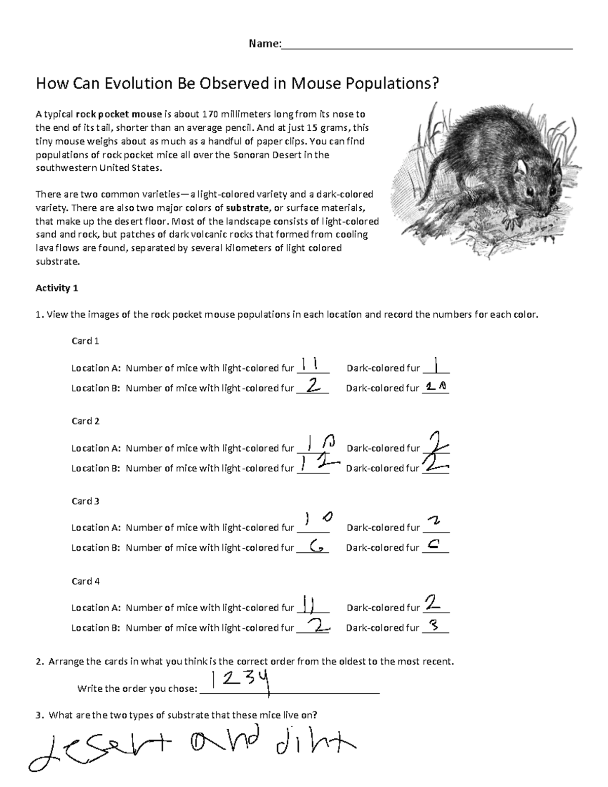 Rock Pocket Mouse Activity Name
