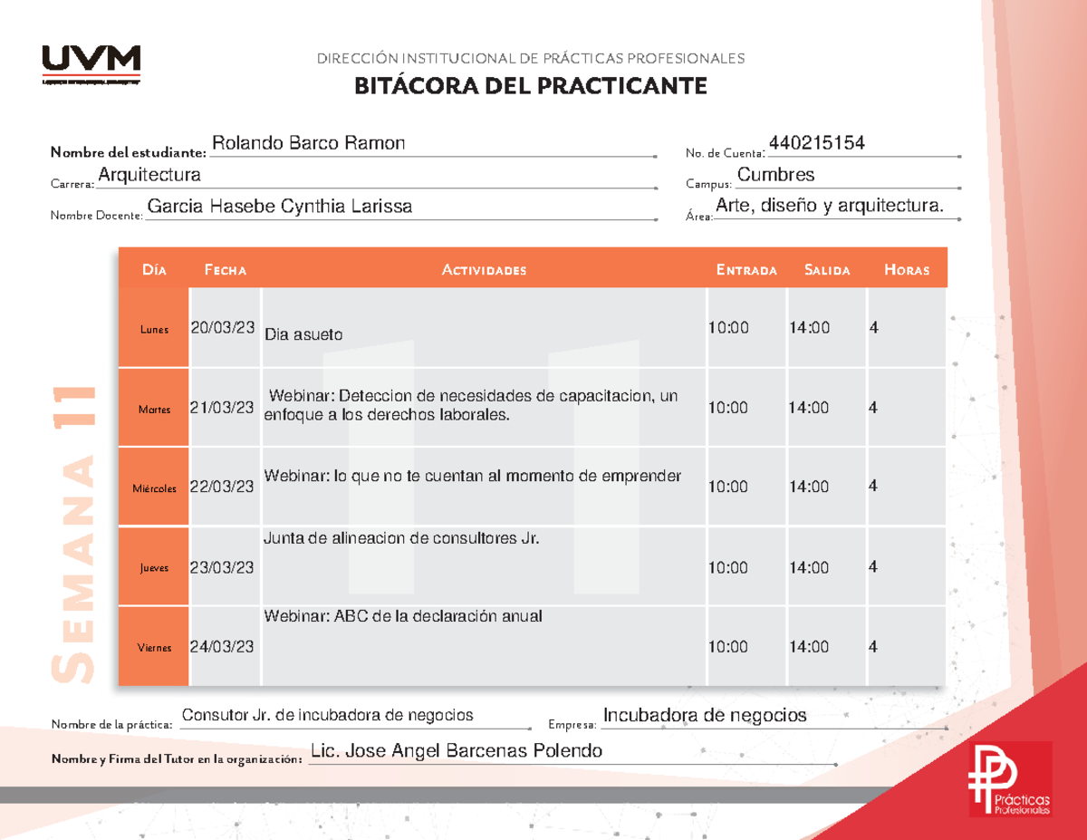 Bitacora RBR - 11 DIRECCIÓN INSTITUCIONAL DE PRÁCTICAS PROFESIONALES