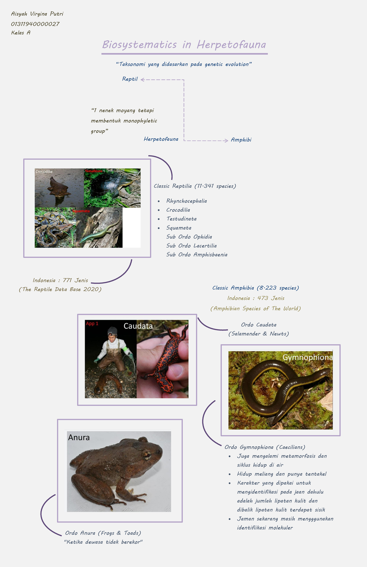 Biosystematics In Herpetofauna - Biosystematics In Herpetofauna ...