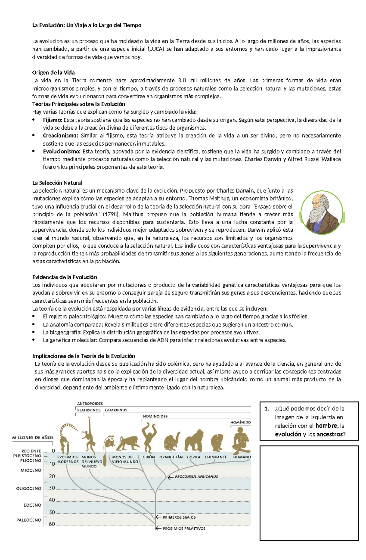 Evolución y Diversidad - La Evolución: Un Viaje a lo Largo del Tiempo ...