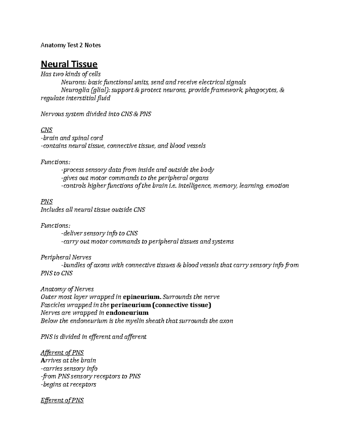 Anatomy Test 2 Notes - Anatomy Test 2 Notes Neural Tissue Has two kinds ...