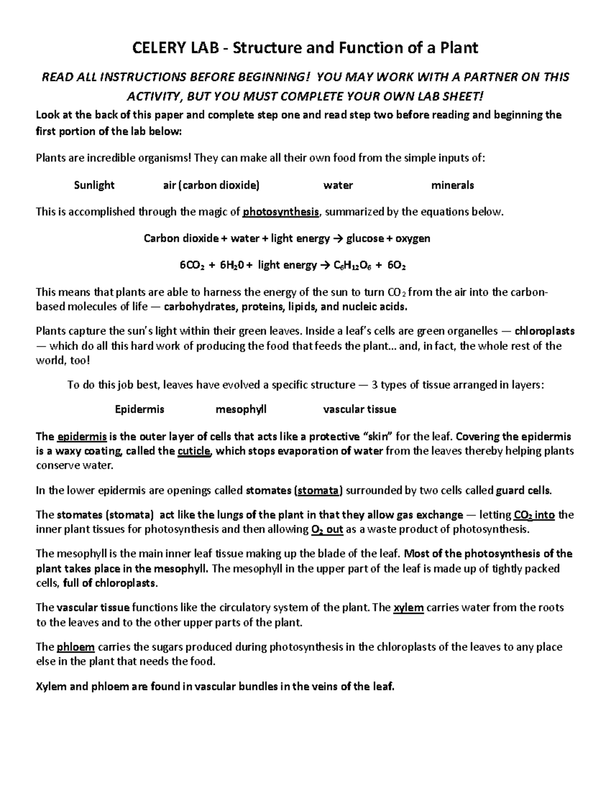 Intro in Plant Biology fghhh CELERY LAB Structure and Function of