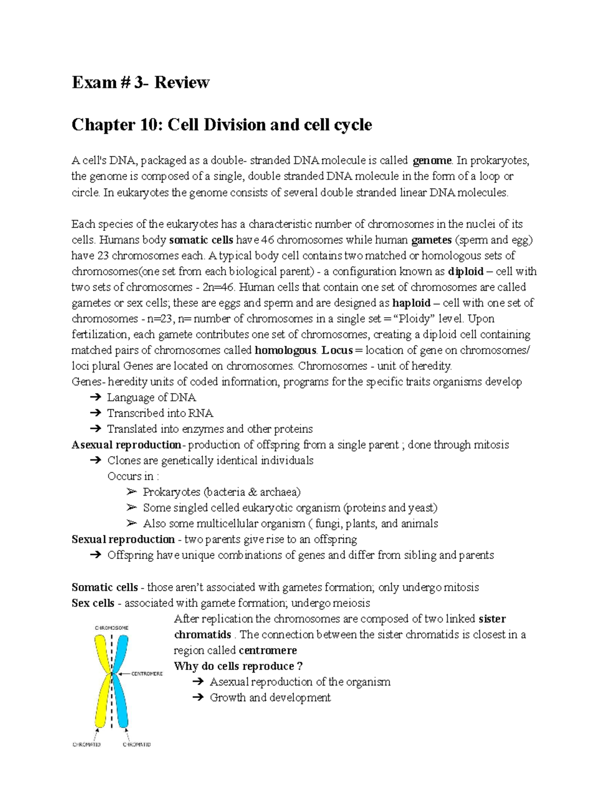 Cell Division and Cell Cycle Exam Review - Studocu