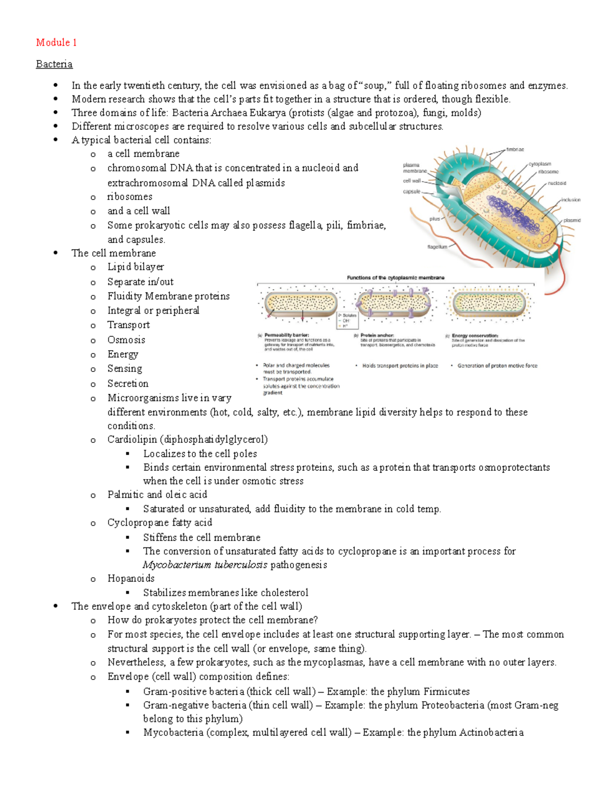 BIO 3124 - Module 1 Notes - Module 1 Bacteria In the early twentieth ...