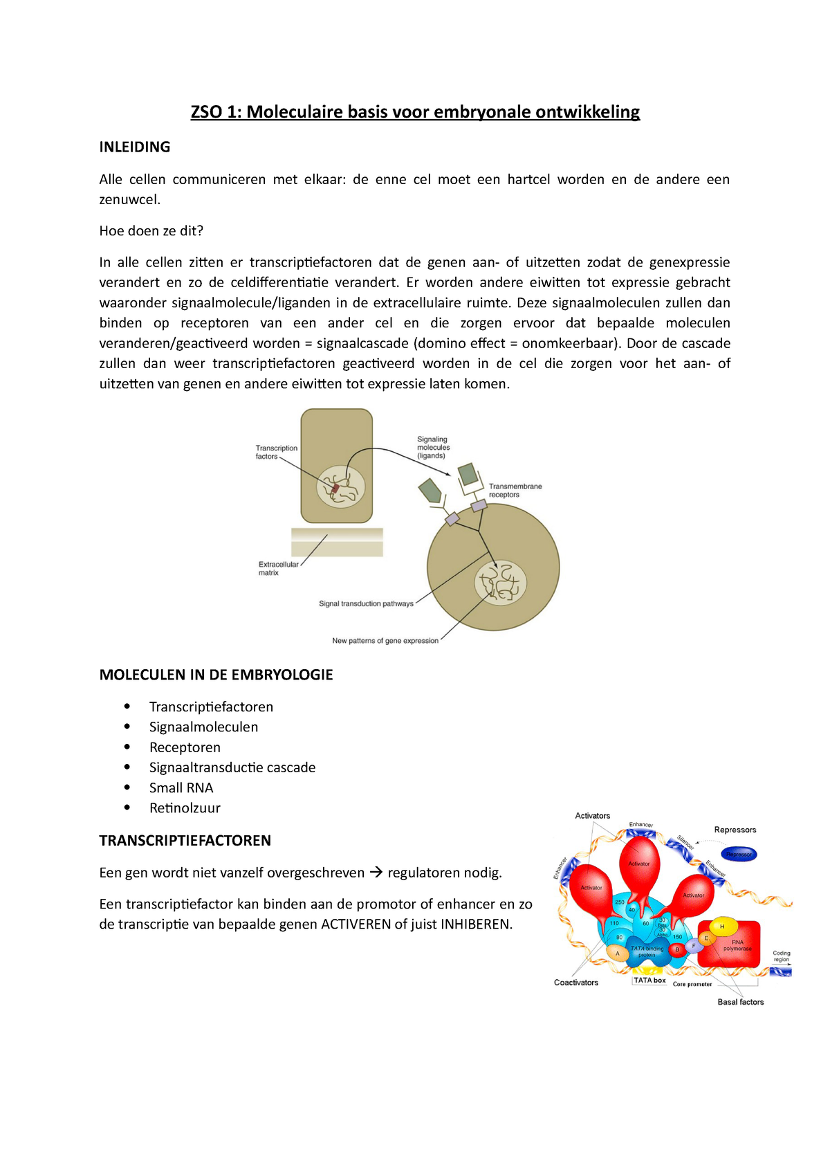 ZSO 1 Moleculaire Basis Voor Embryonale Ontwikkeling - ZSO 1 ...