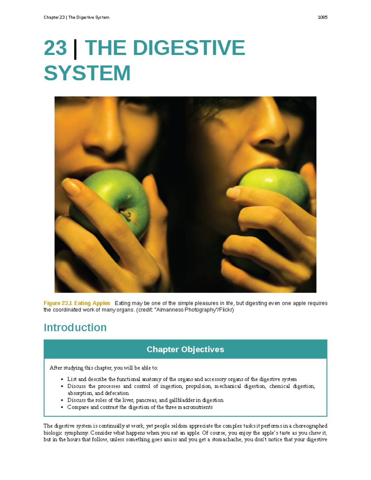 Capitulo 1 digesivo Lecture notes 1 23 THE DIGESTIVE SYSTEM