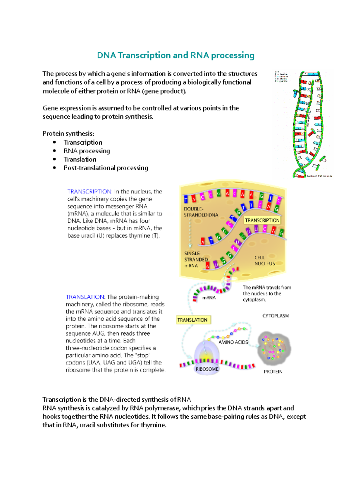 Week 2 DNA Transcription and RNA processing - DNA Transcription and RNA ...