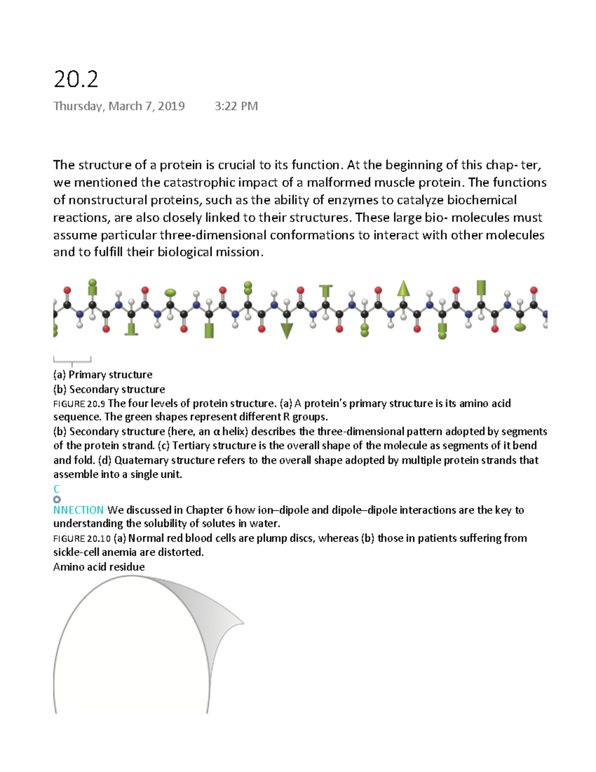 Section 20.2 - Protein Structure and Function - 20 Thursday, March 7 ...