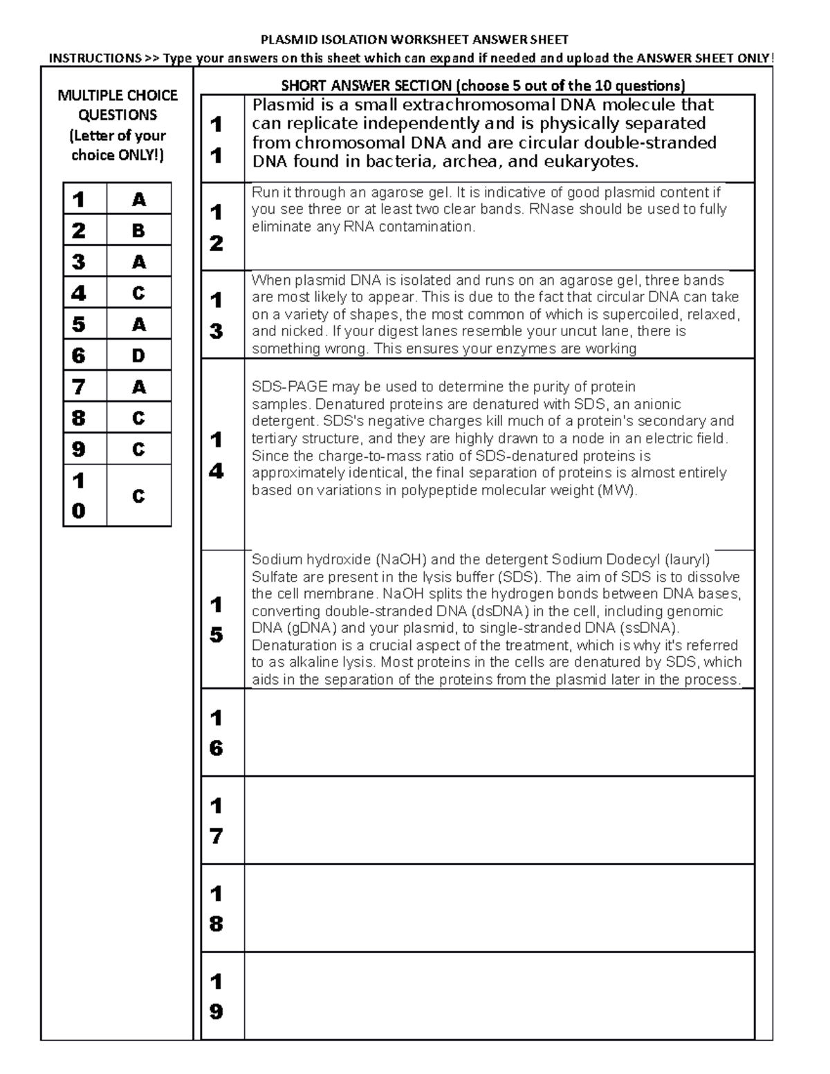 Plasmid Isolation Worksheet Answer Sheet PLASMID ISOLATION WORKSHEET