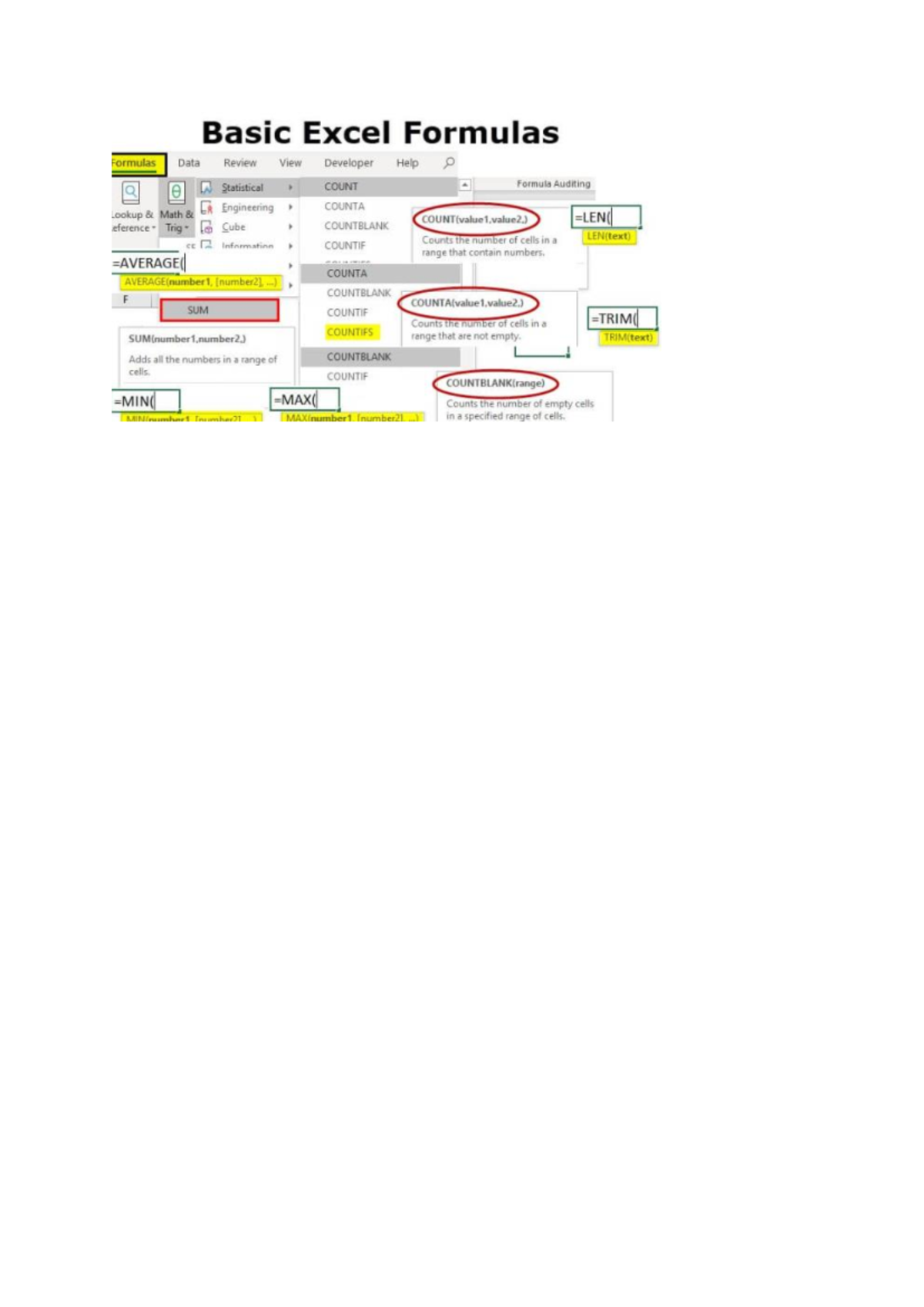Word - Notes - Basic Excel Formulas Formulas Data Review View Developer ...