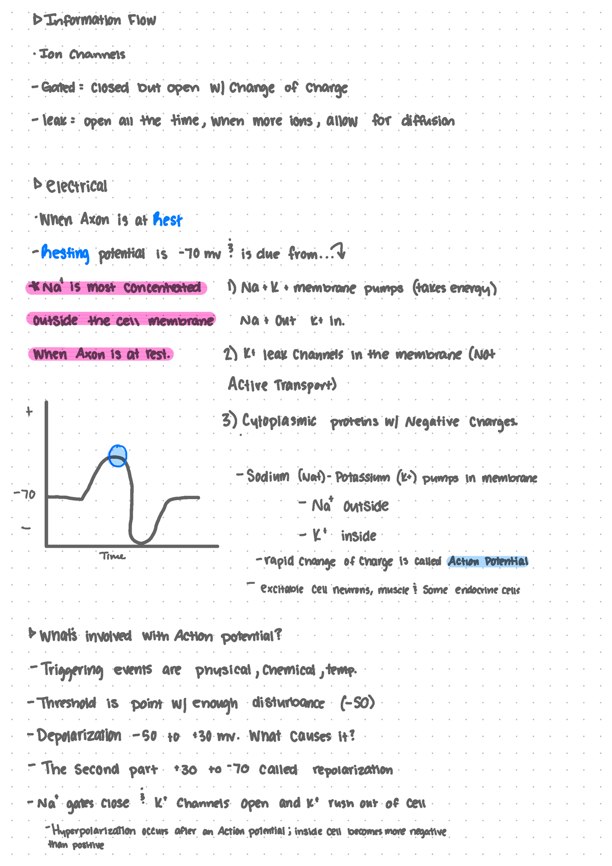 Selling Notes 3 - Biology 102 Neurotransmitters And Neurons With ...