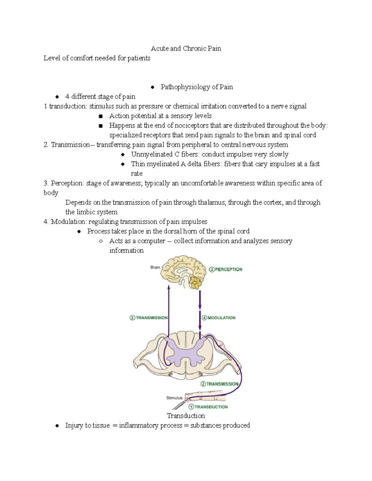 Patho PAIN - Nursing Research Lecture Notes - Acute and Chronic Pain ...