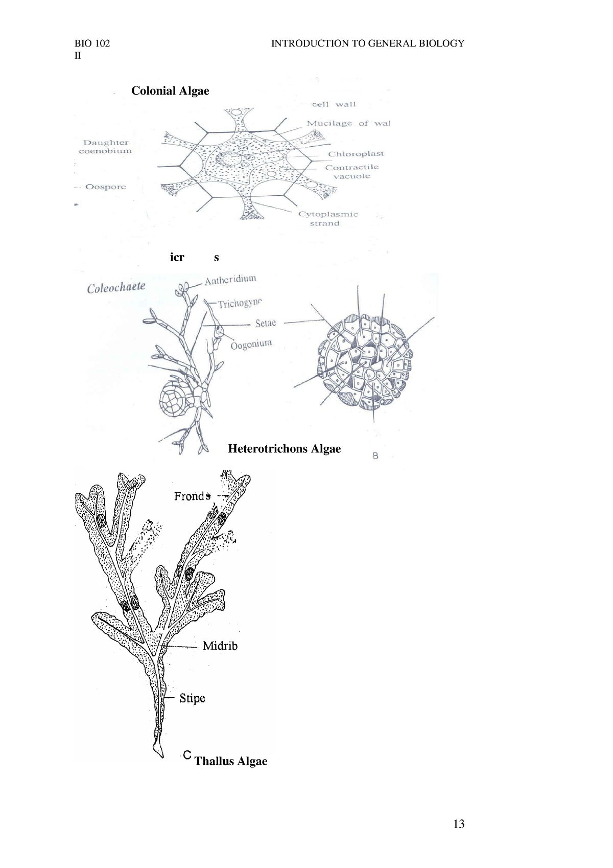 introduction-to-biology-ii-9-13-bio-102-ii-introduction-to-general