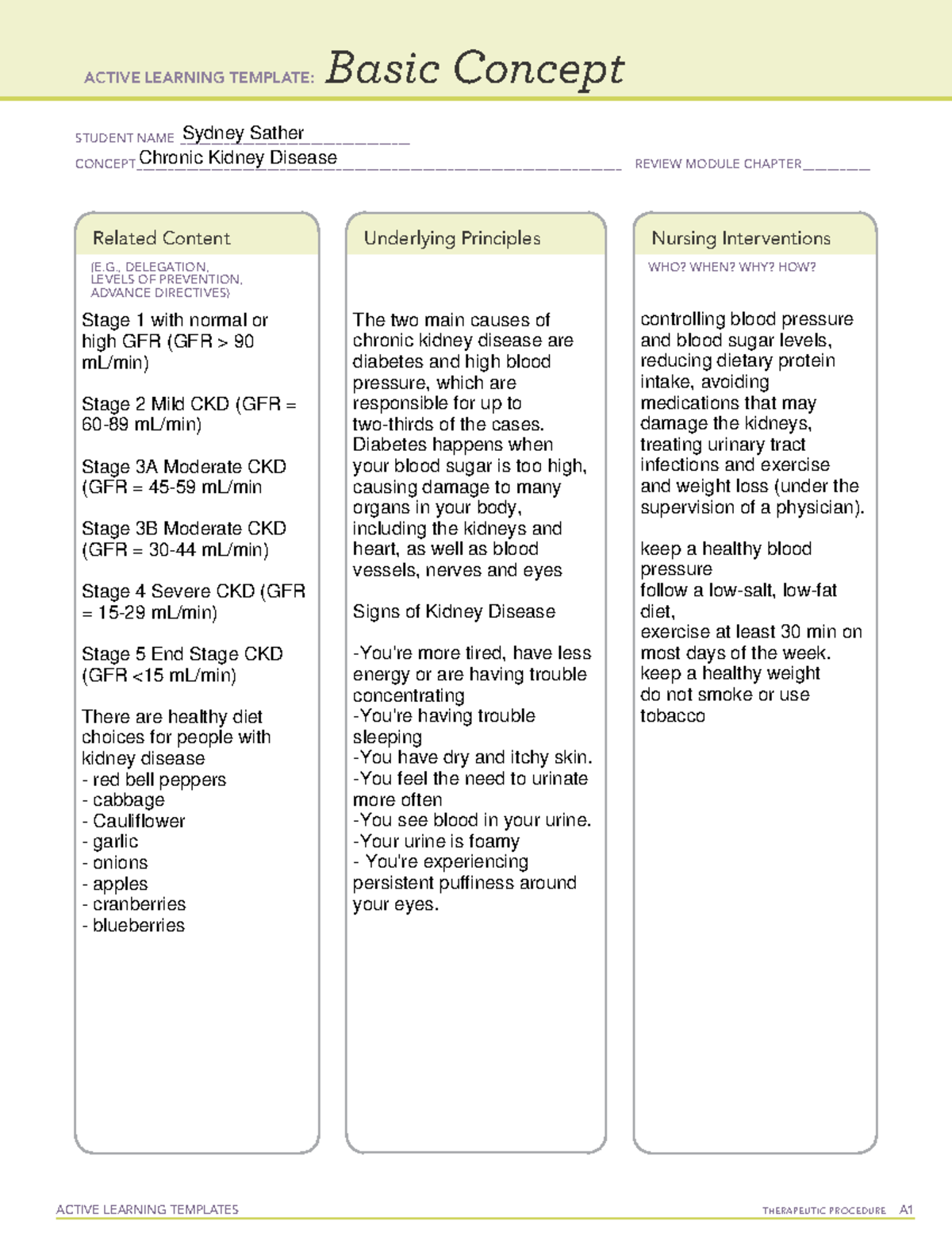 Chronic Kidney Disease Ati Template