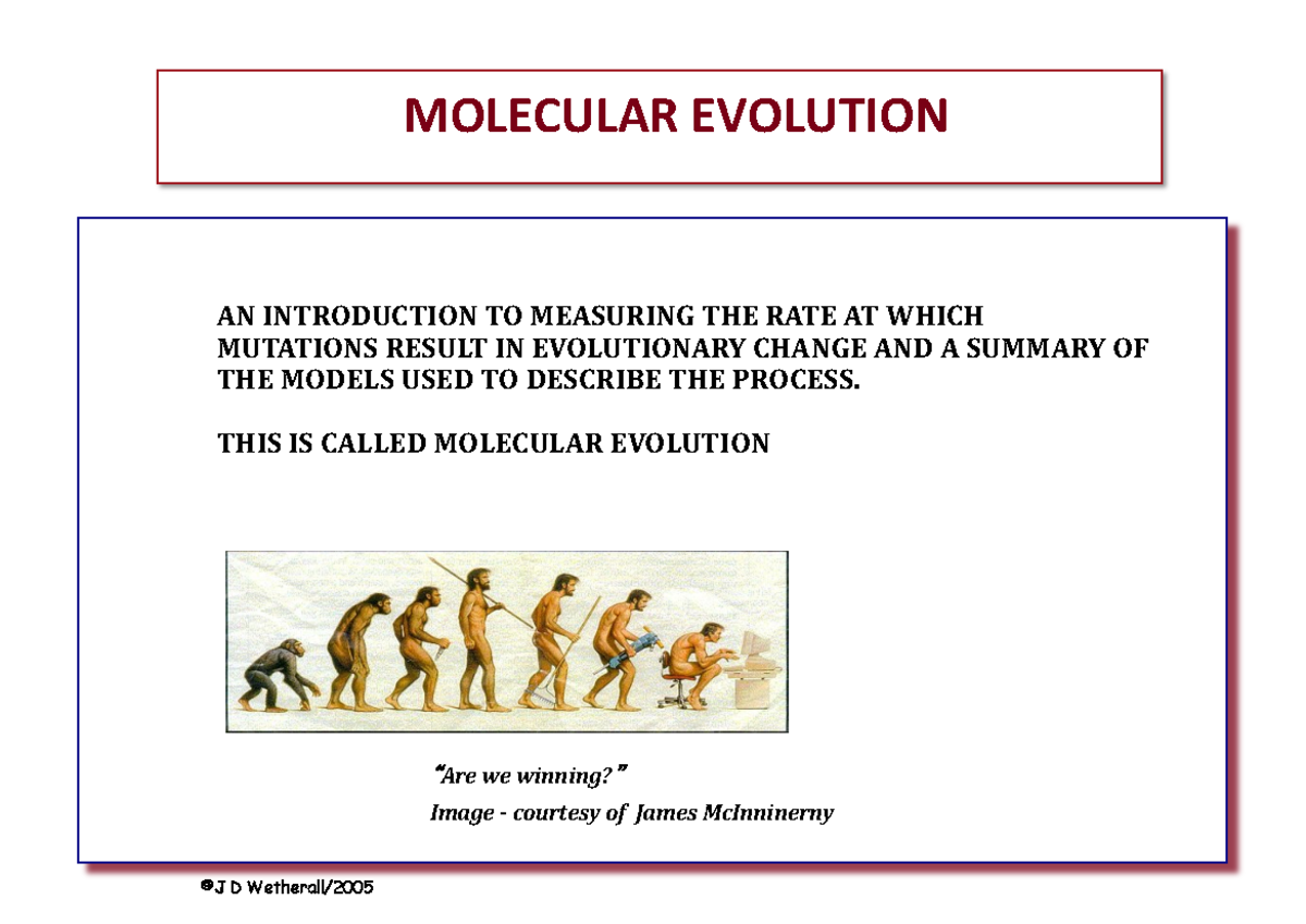 Bioinf Mol Evol 15 - Lecture notes 12 - MOLECULAR EVOLUTION **AN ...