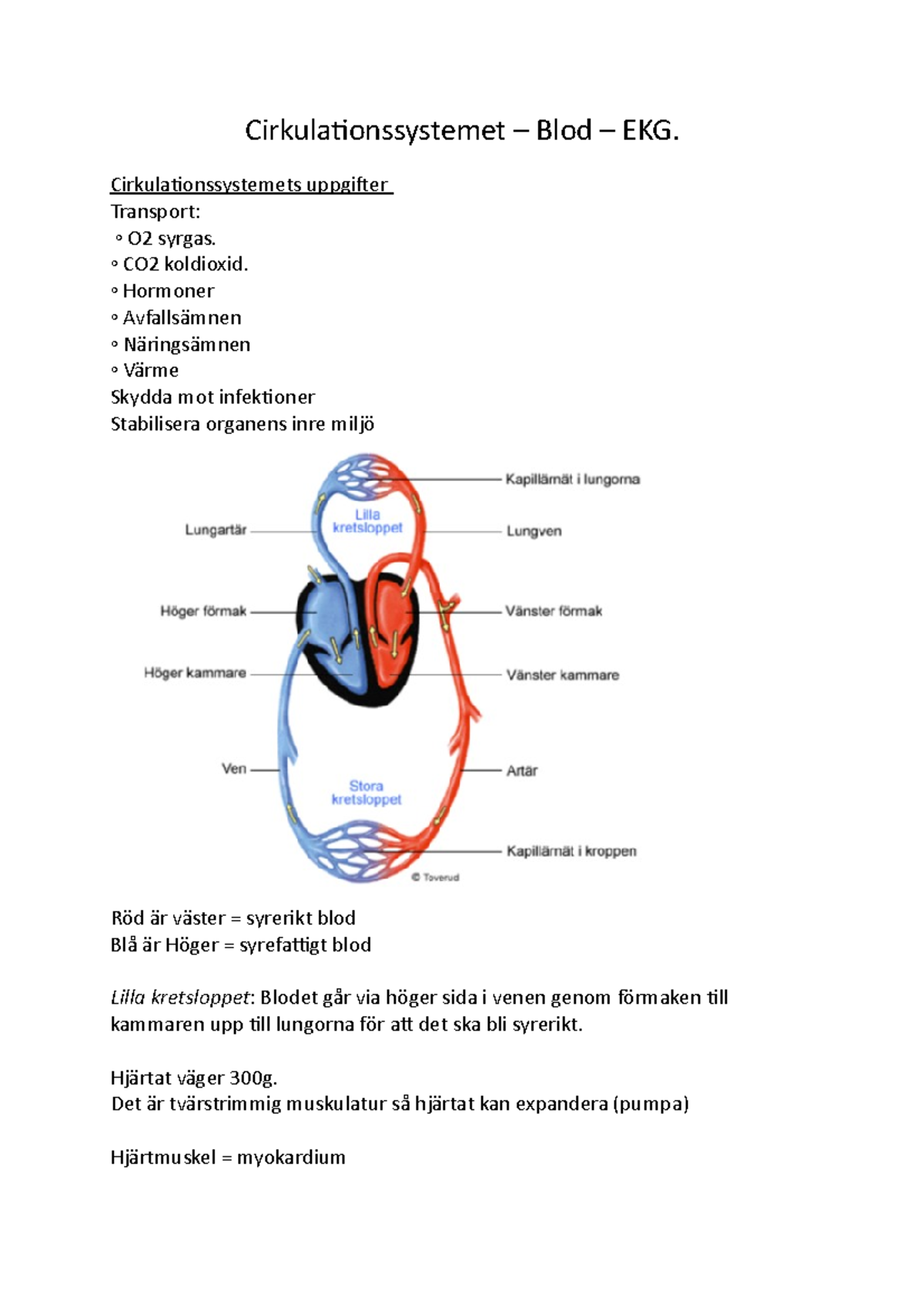 Cirkulationssystemet - Cirkulationssystemets Uppgifter Transport: O2 ...