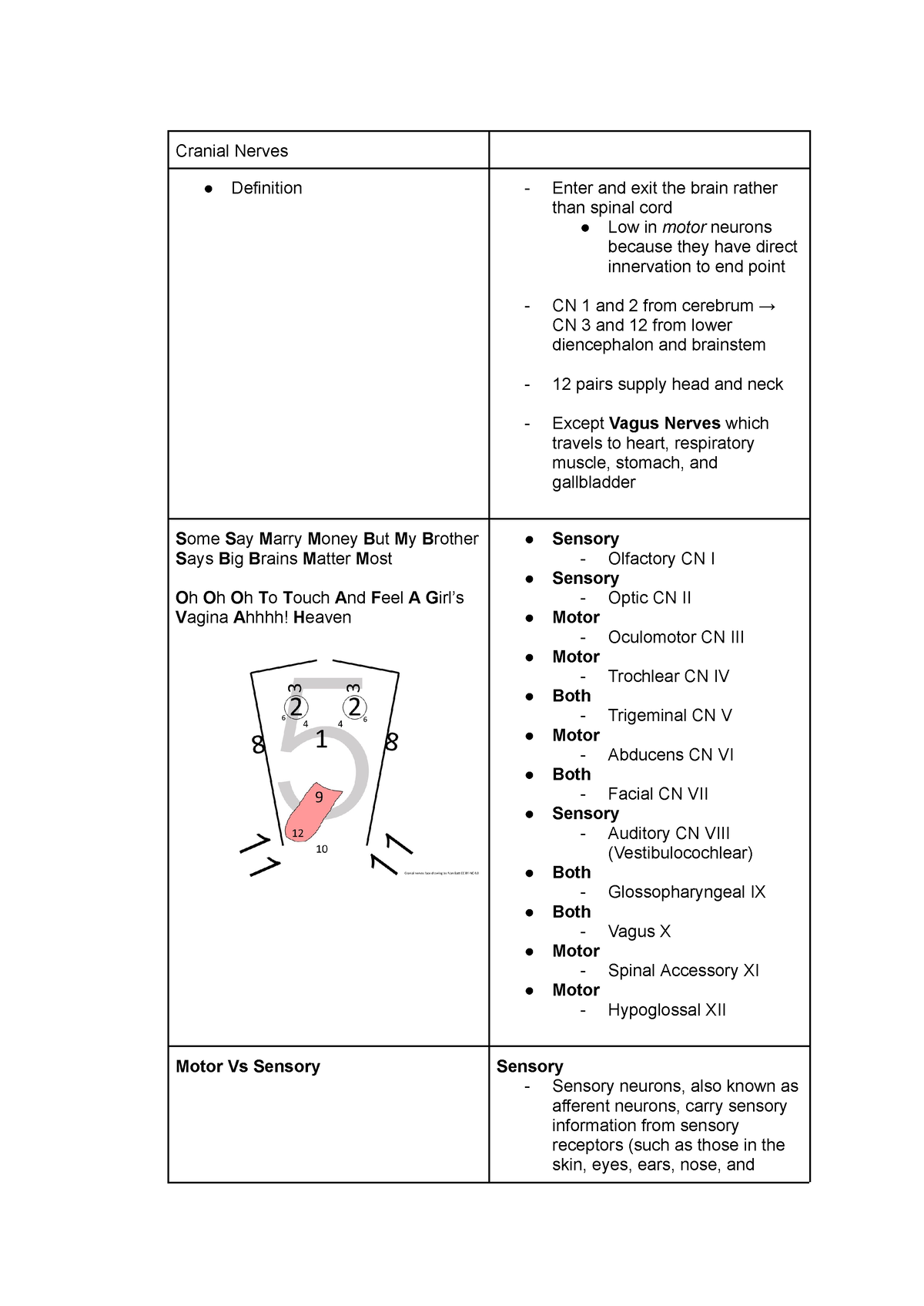 Lecture 5 Cranial Nerves, Eyes and Ears - Cranial Nerves Definition ...